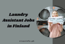 Laundry Assistant Jobs in Finland