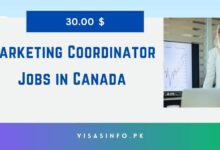 Marketing Coordinator Jobs in Canada