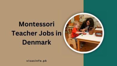 Montessori Teacher Jobs in Denmark