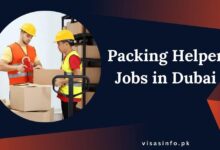 Packing Helper Jobs in Dubai