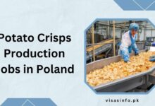 Potato Crisps Production Jobs in Poland