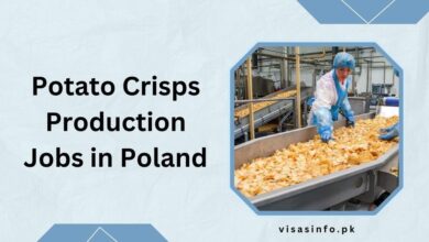 Potato Crisps Production Jobs in Poland