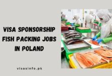 Visa Sponsorship Fish Packing Jobs in Poland