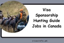 Visa Sponsorship Hunting Guide Jobs in Canada