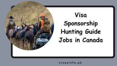 Visa Sponsorship Hunting Guide Jobs in Canada