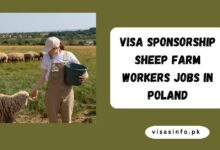 Visa Sponsorship Sheep Farm Workers Jobs in Poland