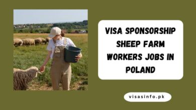 Visa Sponsorship Sheep Farm Workers Jobs in Poland