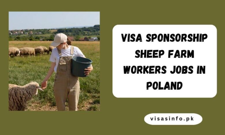 Visa Sponsorship Sheep Farm Workers Jobs in Poland