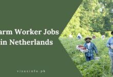 Farm Worker Jobs in Netherlands