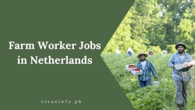 Farm Worker Jobs in Netherlands