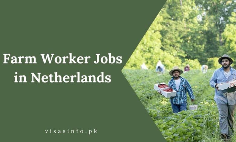 Farm Worker Jobs in Netherlands