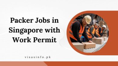 Packer Jobs in Singapore with Work Permit