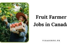 Fruit Farmer Jobs in Canada