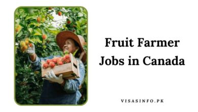 Fruit Farmer Jobs in Canada