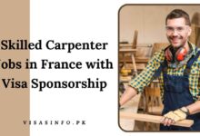 Skilled Carpenter Jobs in France with Visa Sponsorship